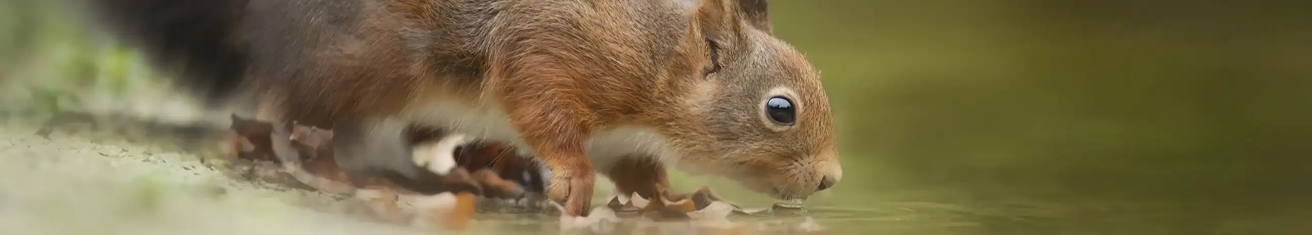 We proudly partner with Scratchpay and IFinance to offer payment plans for our clients!